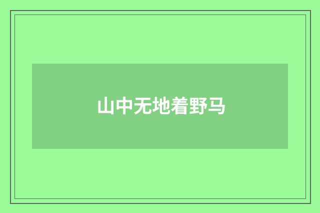 山中无地着野马