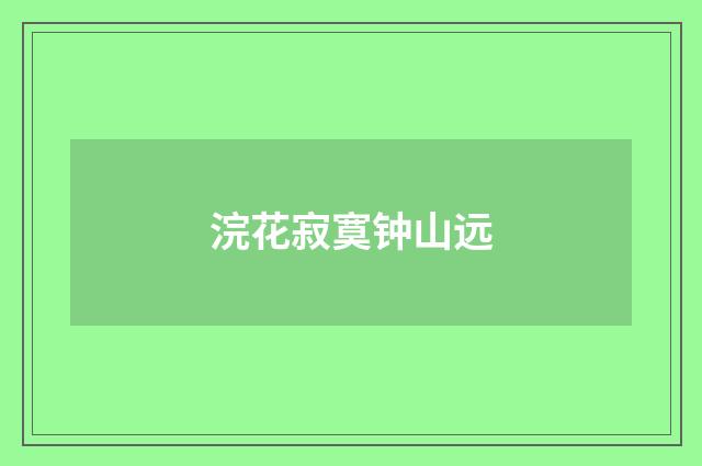 浣花寂寞钟山远