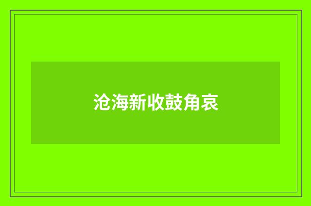 沧海新收鼓角哀