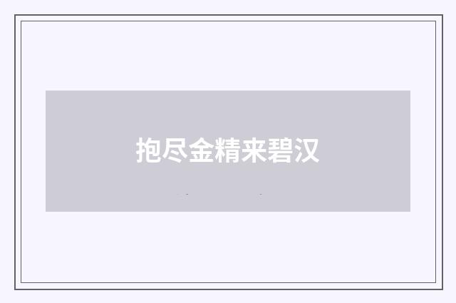 抱尽金精来碧汉