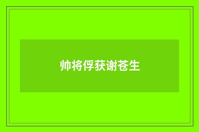 帅将俘获谢苍生