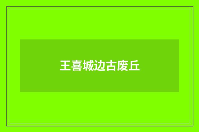 王喜城边古废丘