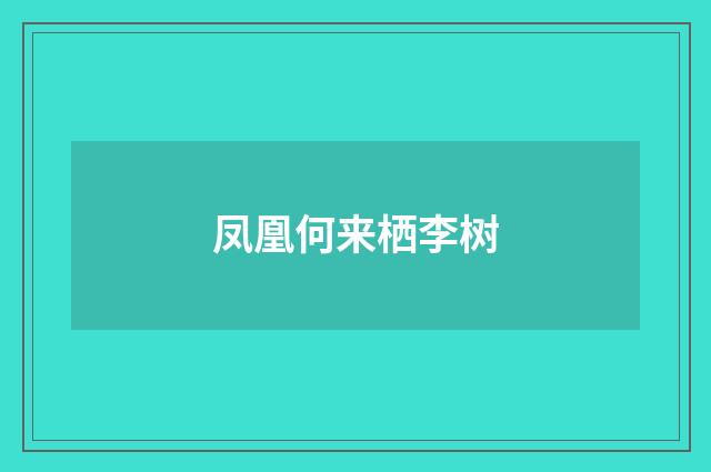 凤凰何来栖李树