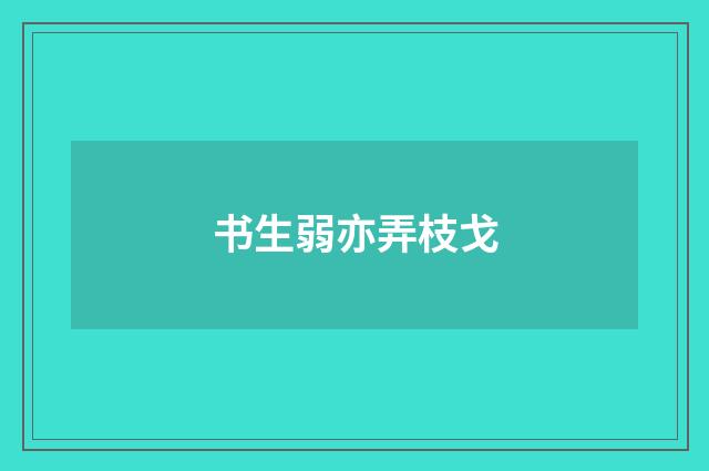 书生弱亦弄枝戈