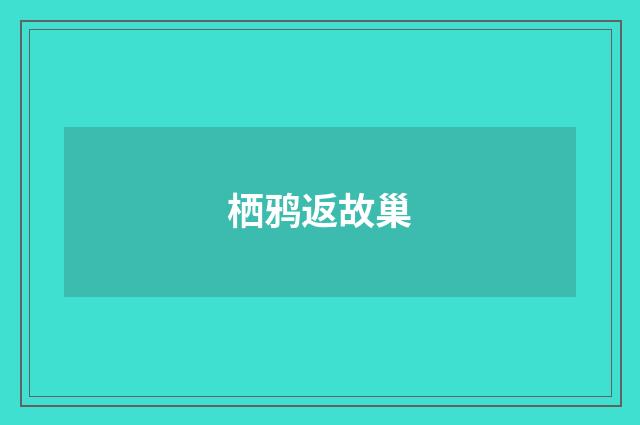 栖鸦返故巢