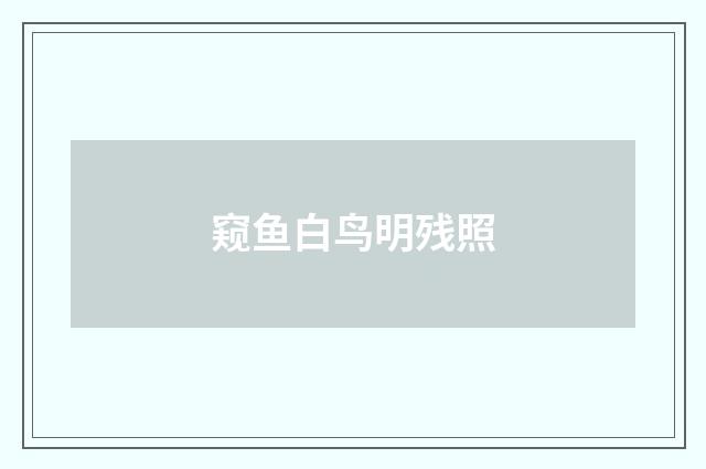 窥鱼白鸟明残照