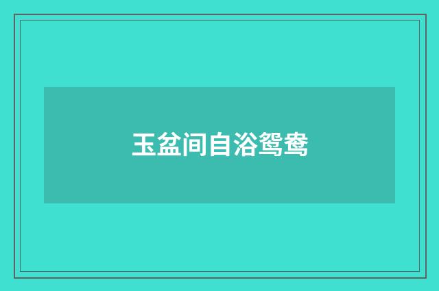 玉盆间自浴鸳鸯