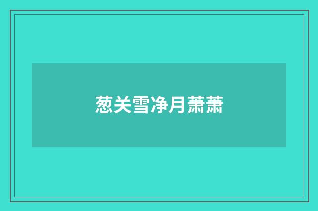 葱关雪净月萧萧