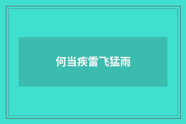 何当疾雷飞猛雨
