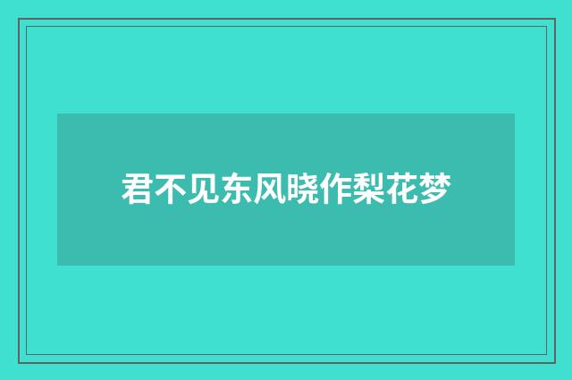 君不见东风晓作梨花梦