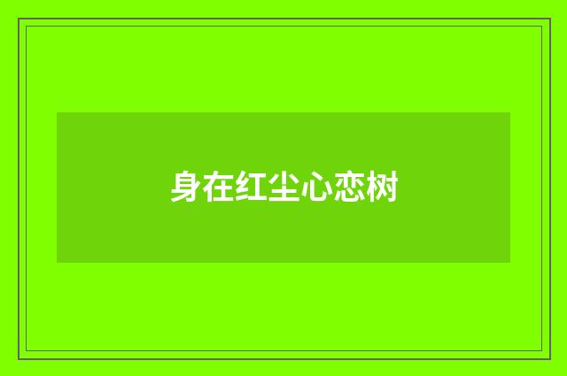 身在红尘心恋树