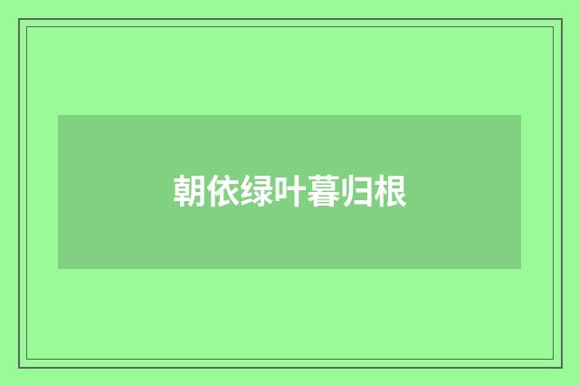 朝依绿叶暮归根