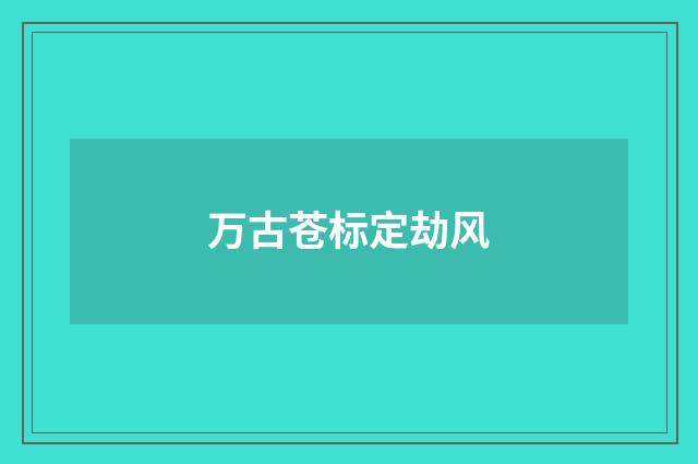 万古苍标定劫风