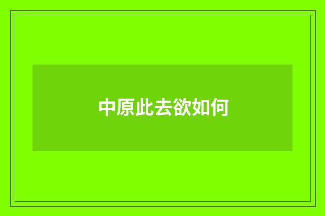 中原此去欲如何