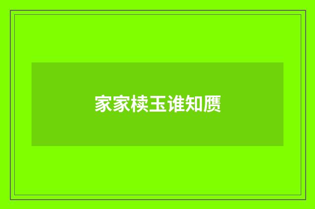 家家椟玉谁知赝
