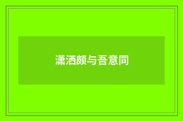 潇洒颇与吾意同