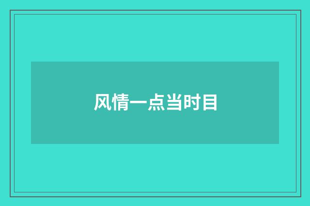 风情一点当时目