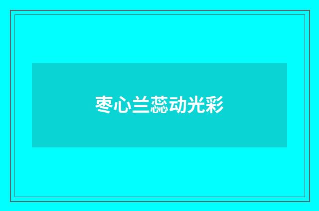 枣心兰蕊动光彩