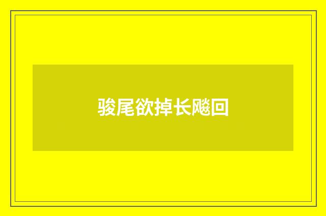 骏尾欲掉长飚回