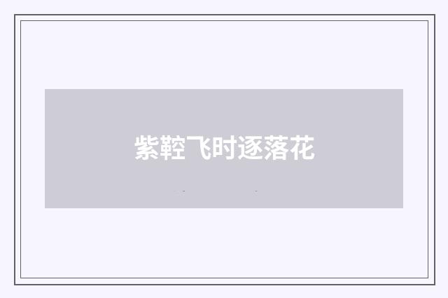 紫鞚飞时逐落花