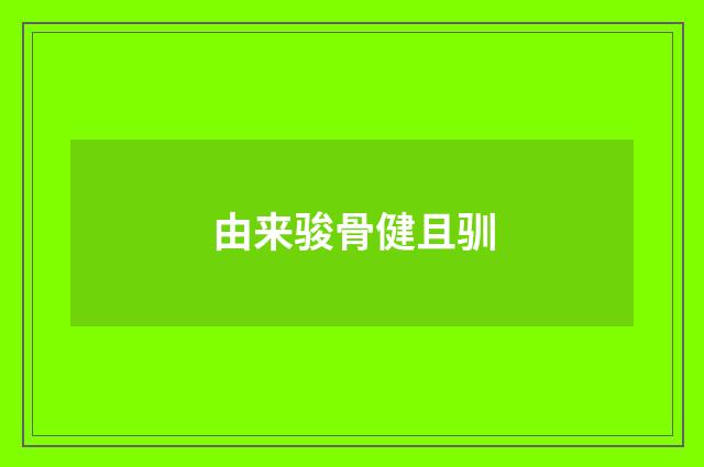 由来骏骨健且驯