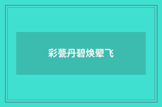 彩甍丹碧焕翚飞