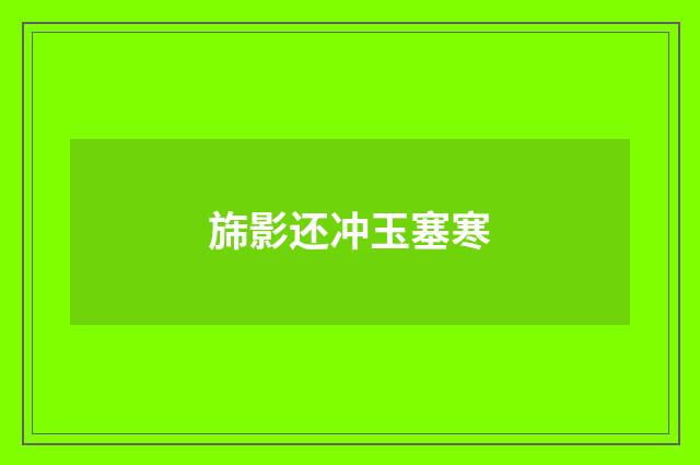 旆影还冲玉塞寒