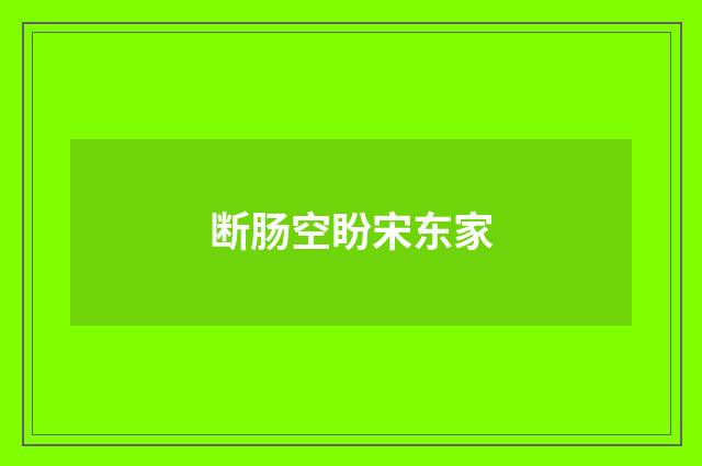 断肠空盼宋东家