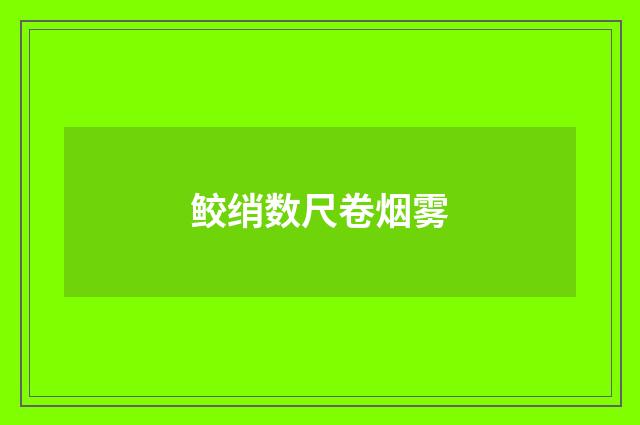 鲛绡数尺卷烟雾