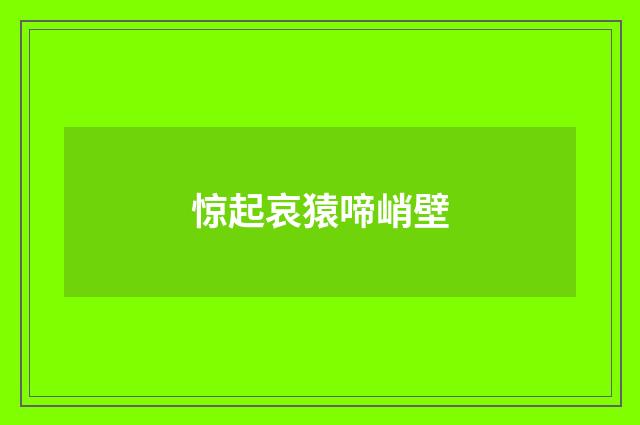 惊起哀猿啼峭壁
