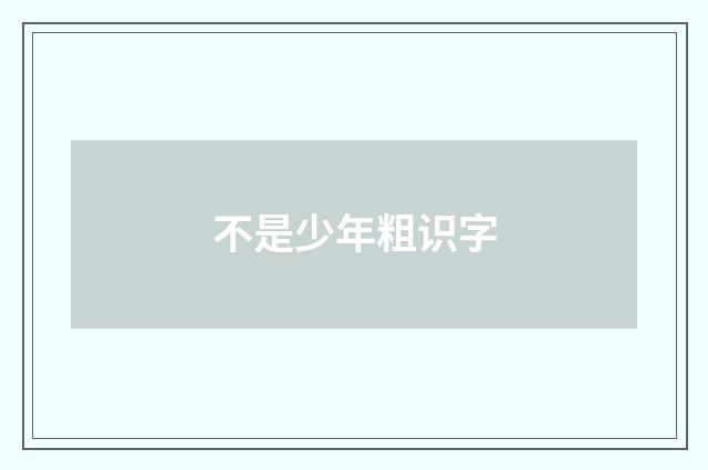 不是少年粗识字