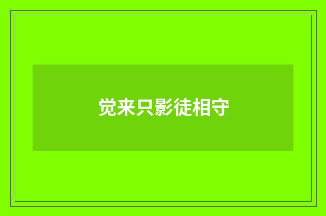 觉来只影徒相守