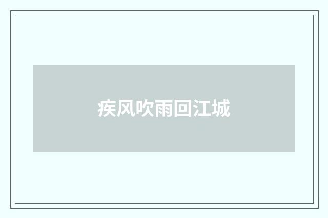 疾风吹雨回江城