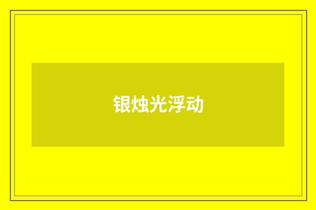 银烛光浮动
