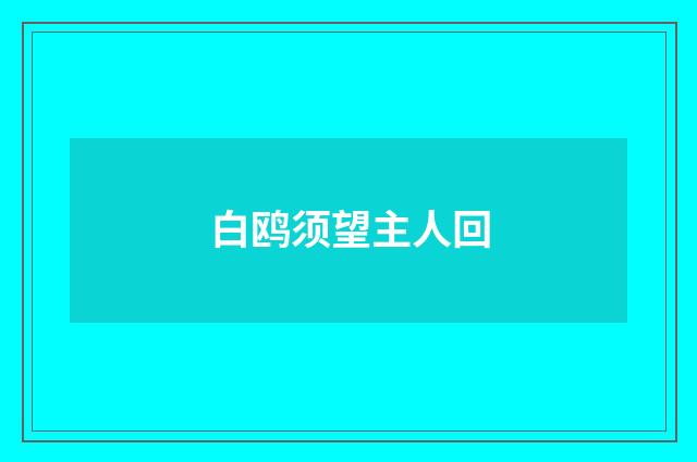 白鸥须望主人回