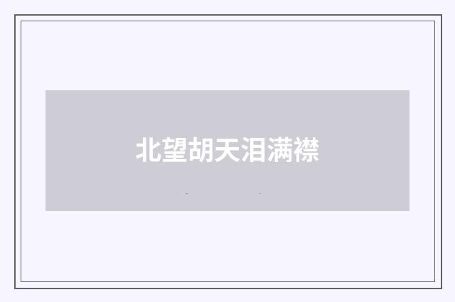 北望胡天泪满襟