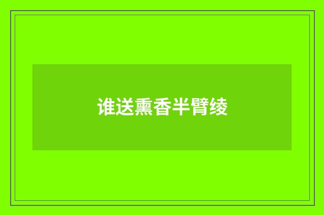 谁送熏香半臂绫