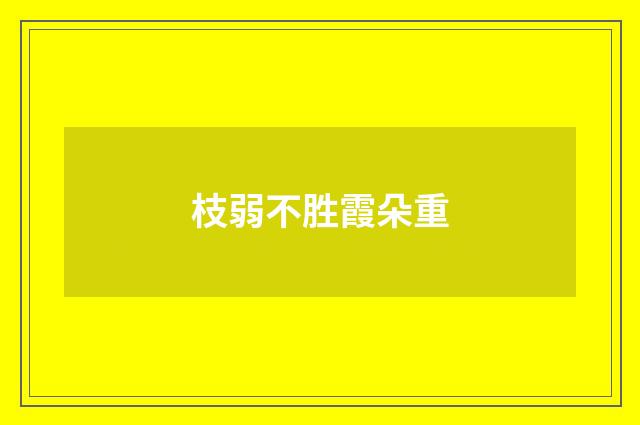 枝弱不胜霞朵重