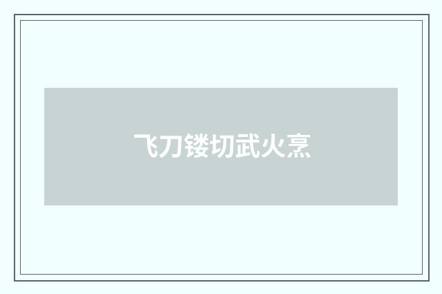 飞刀镂切武火烹