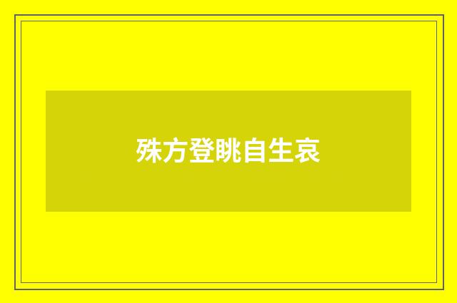 殊方登眺自生哀