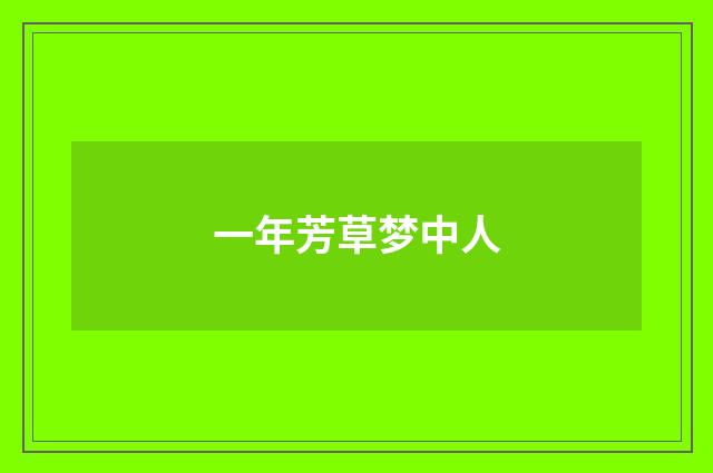 一年芳草梦中人