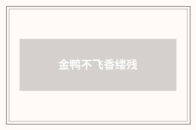 金鸭不飞香缕残