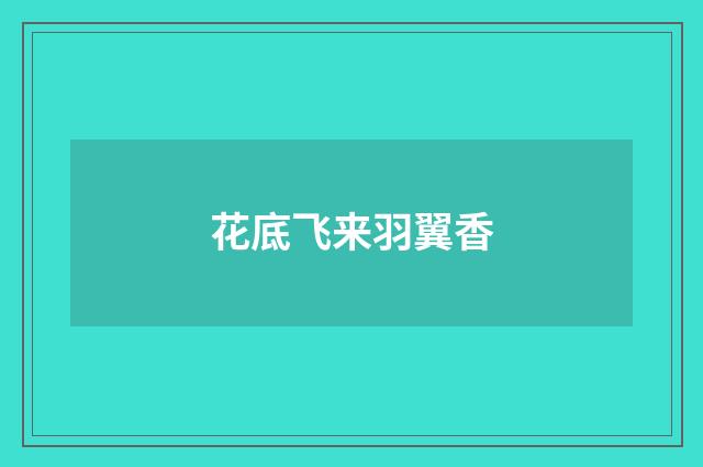 花底飞来羽翼香