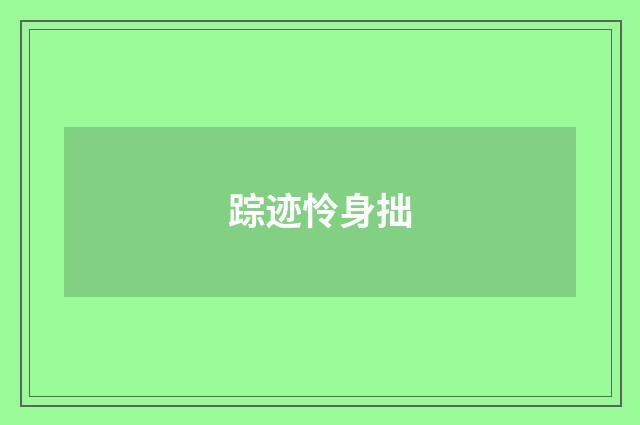 踪迹怜身拙