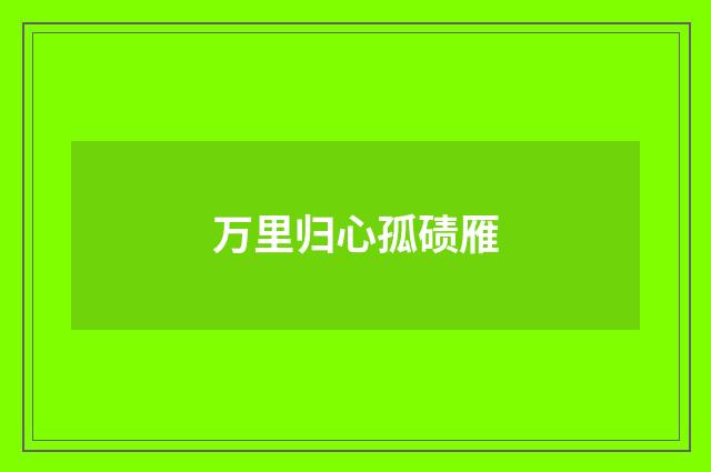 万里归心孤碛雁