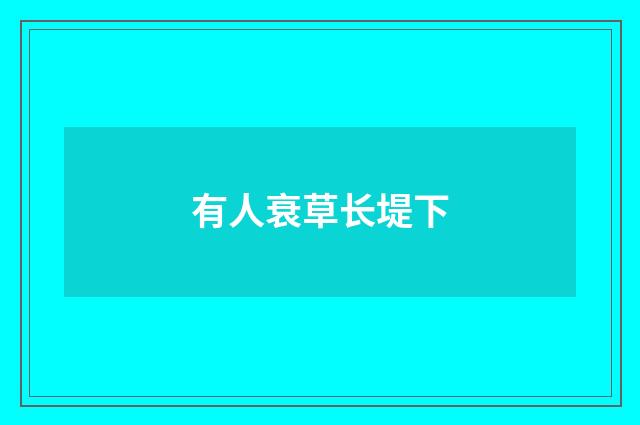 有人衰草长堤下