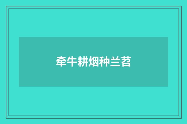 牵牛耕烟种兰苕