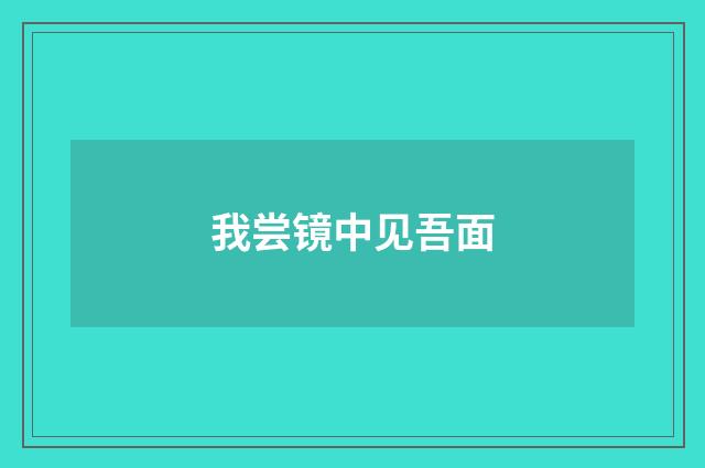 我尝镜中见吾面