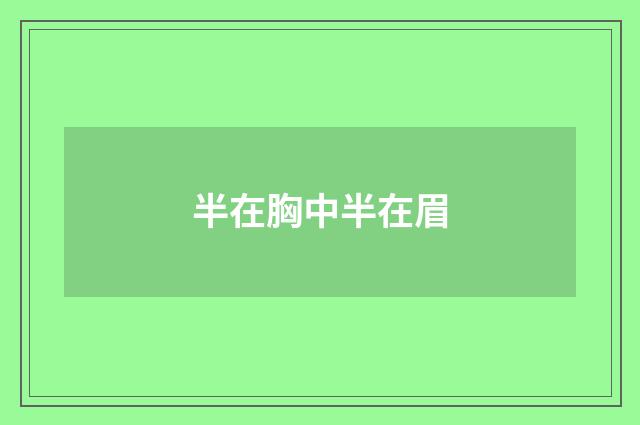 半在胸中半在眉