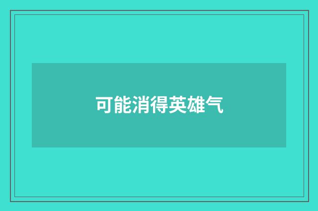 可能消得英雄气